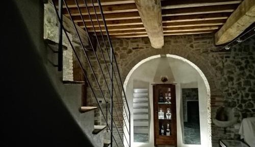 Deluxe One-Bedroom Apartment