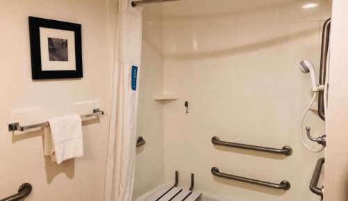 Queen Room with Mobility Access/Non-Smoking