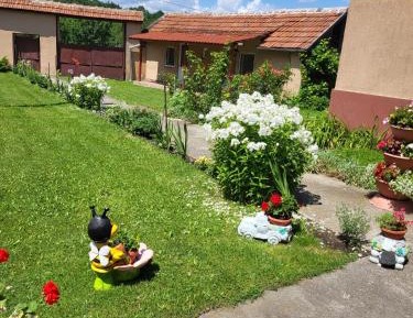 Deluxe Double Room (2 Adults + 1 Child)