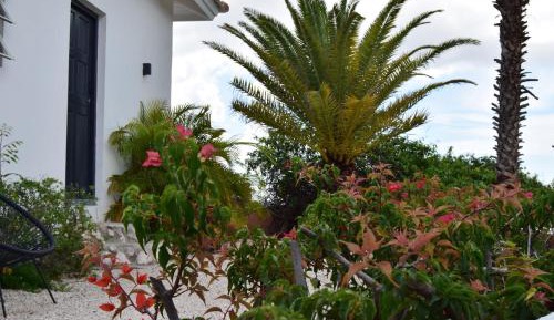 Apartment with Lake View