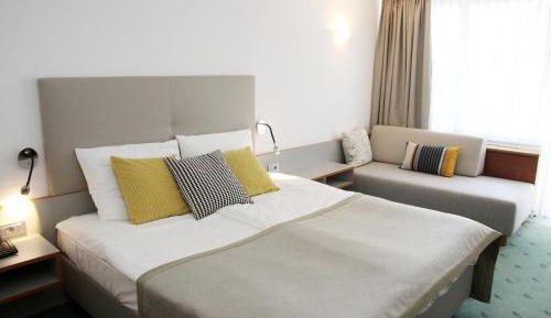 Special Offer - Double Room with New Year's Package