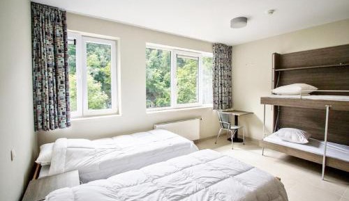 Family Room (4 Adults)