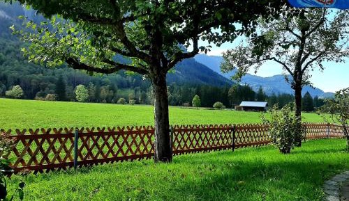 Apartment with Shower