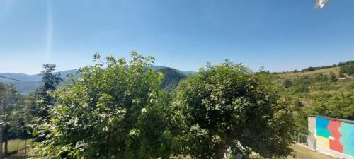 Deluxe Double or Twin Room with Mountain View