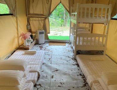 6-Bed Mixed Dormitory Room