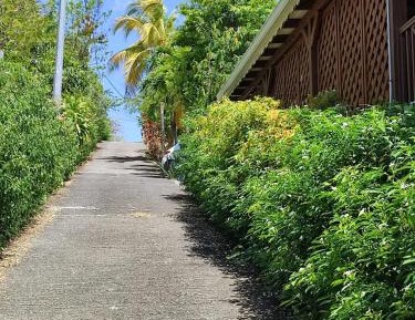 Yellow Studio with Sea View