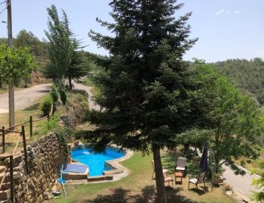 Quadruple Room with Terrace