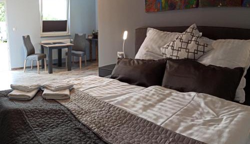 King Room with Roll-In Shower - Disability Access