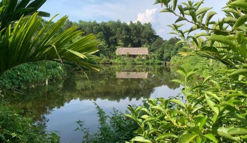 Bungalow - Water Front 