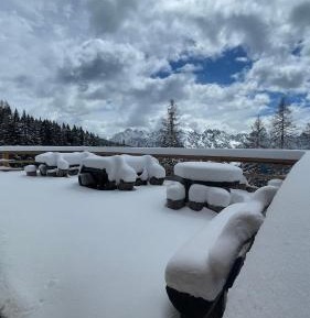 Double Room with Private Bathroom with shared shower 