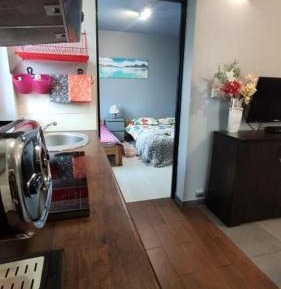 Apartment with Garden View