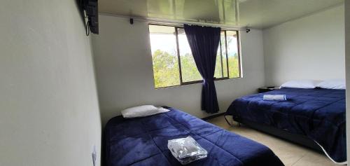 Large Double or Twin Room
