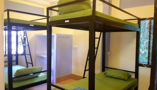 Bunk Bed in Mixed Dormitory Room