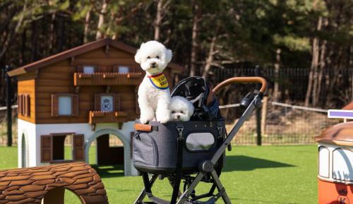 Royal Suite Pet Bern 32PY - Garden View