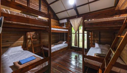 Single Bed in Mixed Dormitory Room