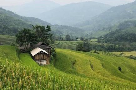 Single Bed in 10-Bed Dormitory Room