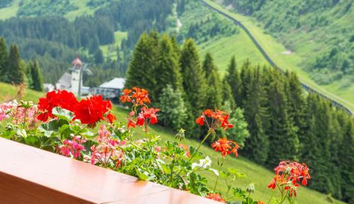 Single Room with Balcony
