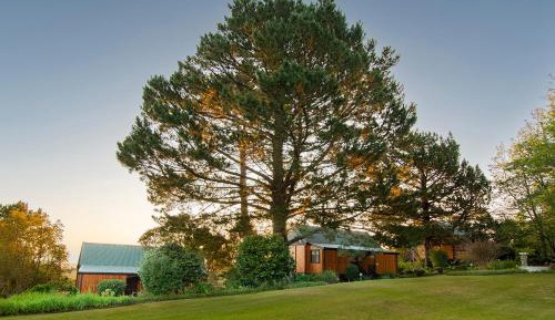 King Suite with Balcony