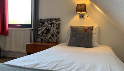 Budget Single Room