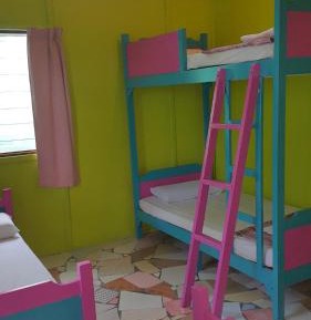 Single Bed in 4-Bed Dormitory Room