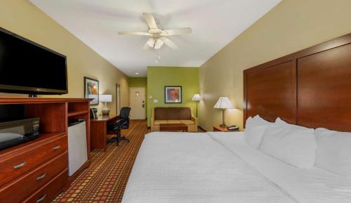 Executive King Room - Non-Smoking