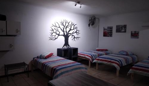 Mixed Dormitory Room