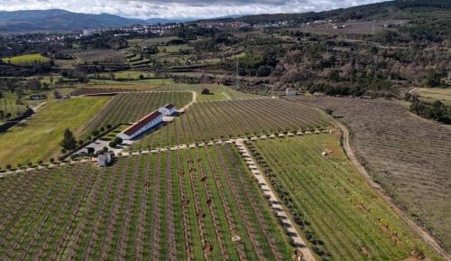 Family Room with Private Bathroom