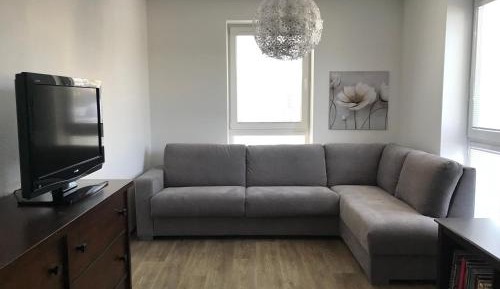 Studio with Sofa Bed