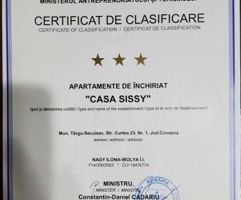 Large Double or Twin Room