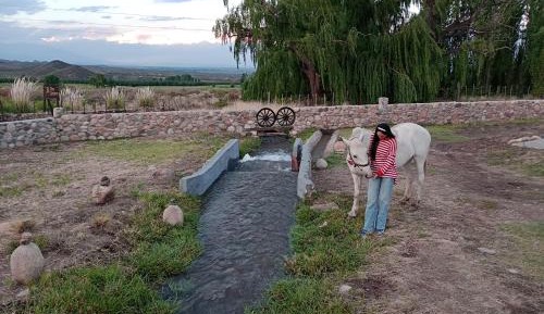 Three-Bedroom Chalet