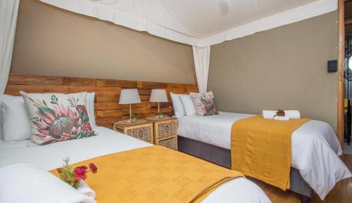 Two-Bedroom Luxury Tent