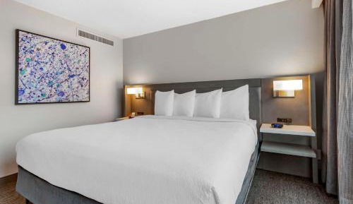 King Studio Suite with Sofa Bed - Non-Smoking