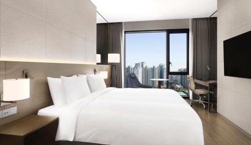 Premier King Room with Park View