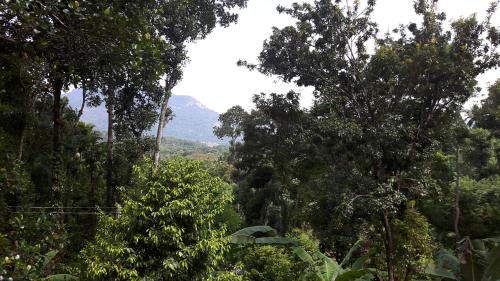 Deluxe Double Room (2 Adults + 1 Child)