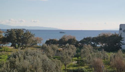 Standard Triple Studio