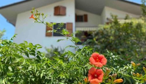 Three-Bedroom Superior Apartment