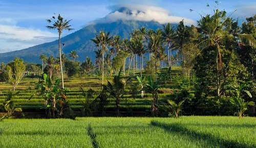 Double Room with Mountain View