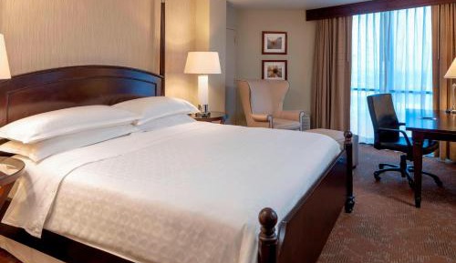 Junior Suite, Junior Suite, 1 King, Sofa bed