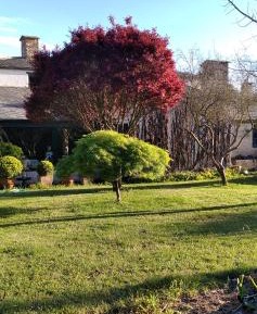 Double or Twin Room with Private Bathroom