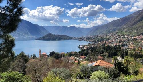 Junior Suite with Terrace