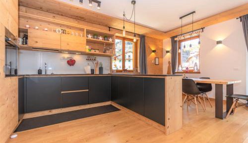 Apartment with Mountain View