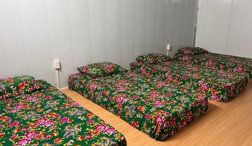Single Bed in Mixed Dormitory Room