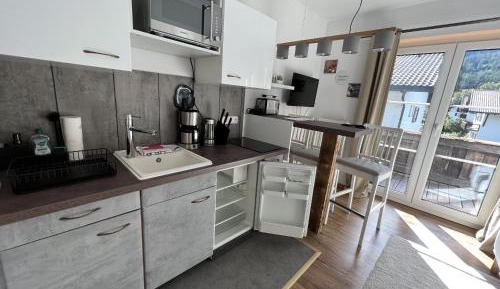 Apartment with Mountain View