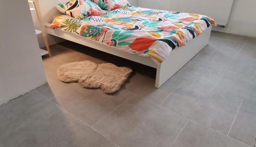 Double Room with Shared Bathroom