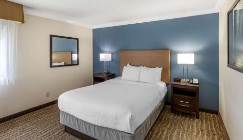 Accessible Suite