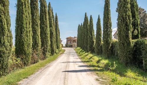 Three-Bedroom Superior Apartment