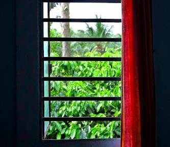 8-Bed Mixed Dormitory Room
