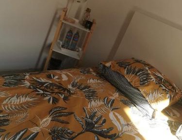 Double Room with Shared Bathroom