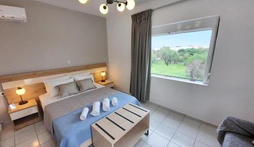 Studio with Mountain View