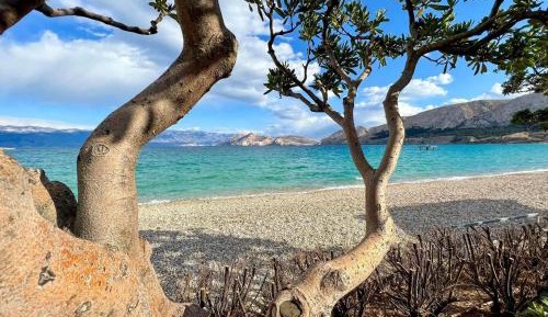 Studio with Sea View